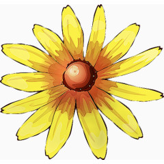 电脑手绘菊花