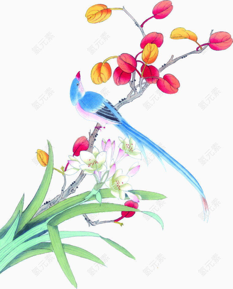 中国风水彩花鸟矢量元素