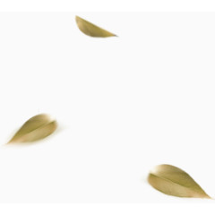 黄色清新树叶漂浮素材