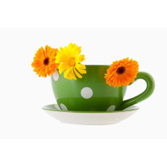 金盏菊和咖啡杯