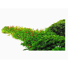 清新绿草园林设计元素