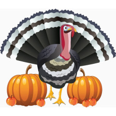 卡通火鸡南瓜苹果