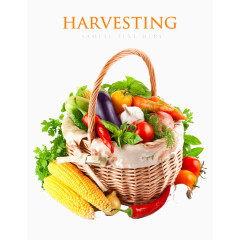 菜市场的篮高清免扣素材