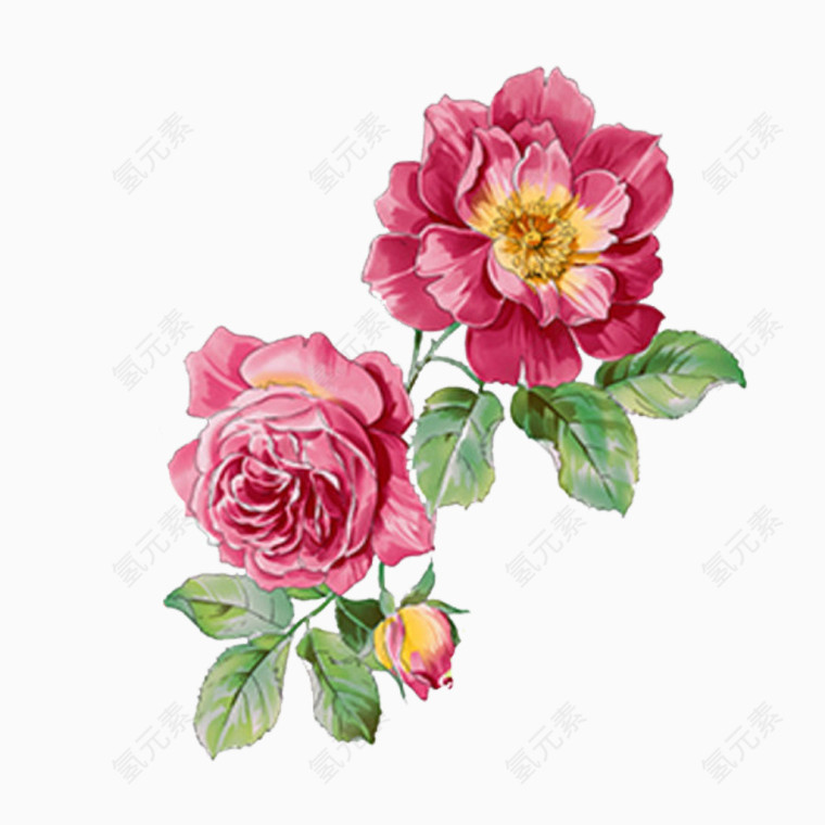 鲜花