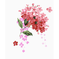 手绘鲜花素材