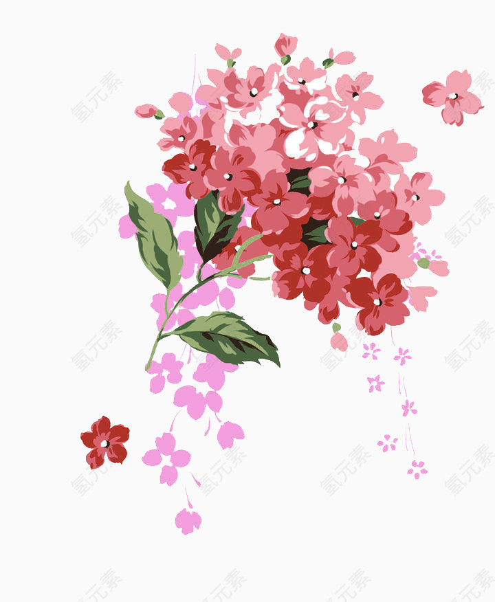 手绘鲜花素材