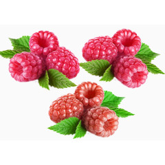 带着绿叶的覆盆子素材