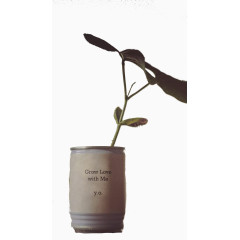 一株褐色叶子的植物