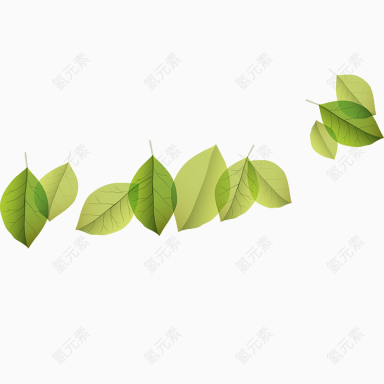 一串春意盎然的绿叶