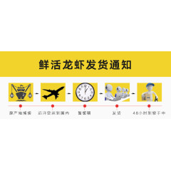 鲜活龙虾发货通知通用图片