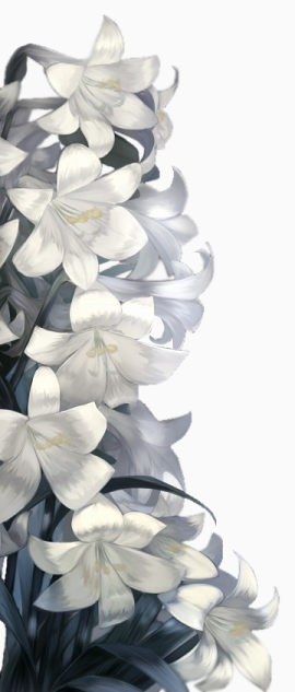 喇叭花