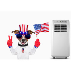 英伦范的狗狗空调