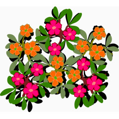 向阳花