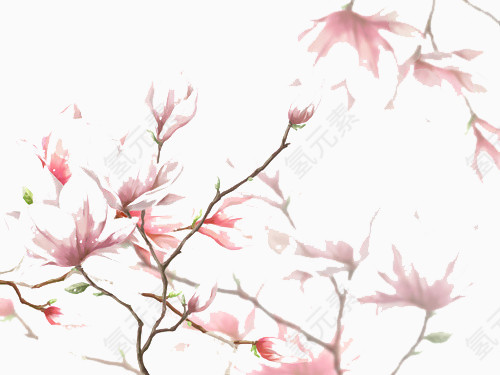 中国画梅花
