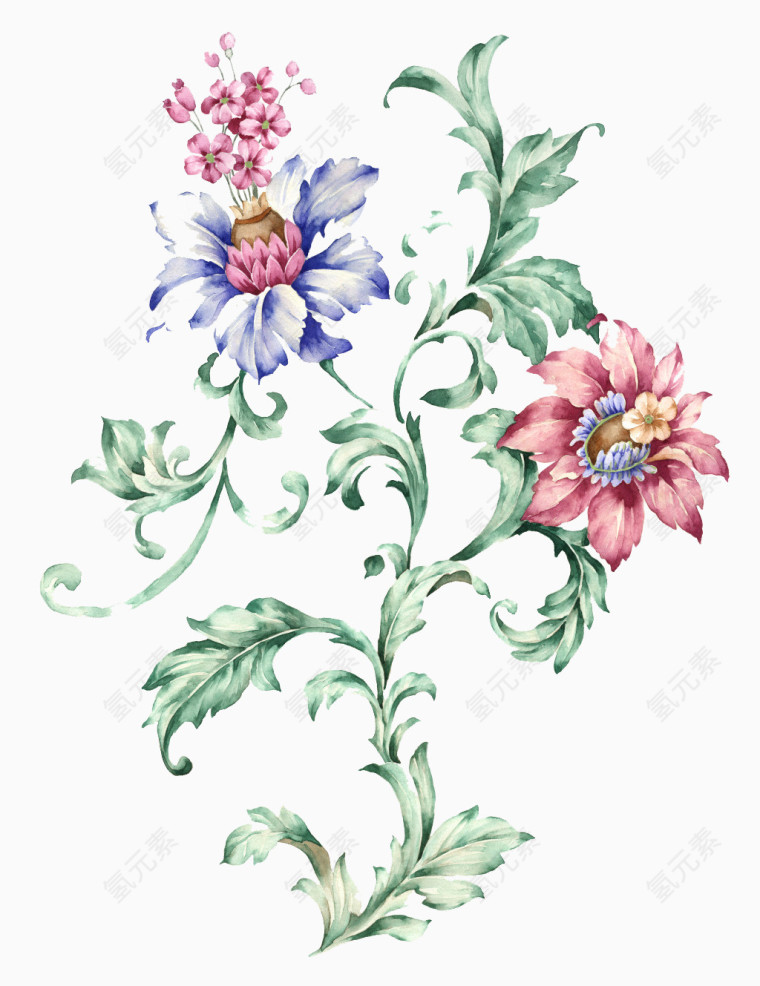 手绘花卉