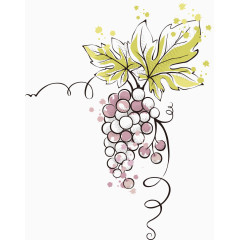 矢量手绘葡萄