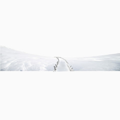 雪地里的一条小路矢量图