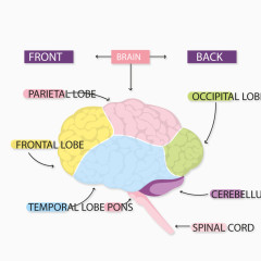 矢量电脑结构图