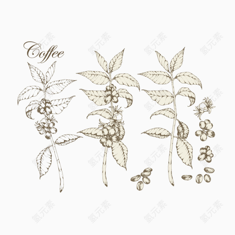 矢量草本植物