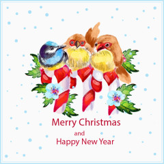 三只可爱的小鸟