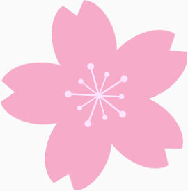 花，粉色，粉色花，淘宝素材