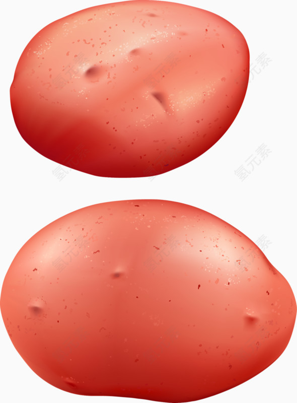 手绘火腿
