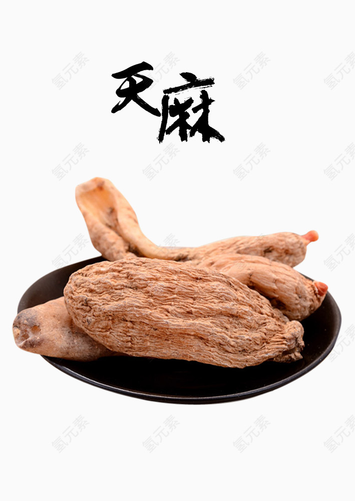 中药天麻