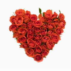 心形玫瑰组合花朵