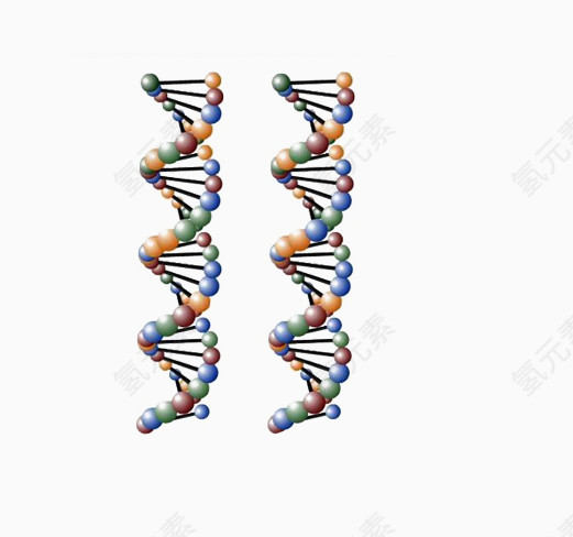 免抠素材分子生物