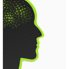 头部和分子结构大脑