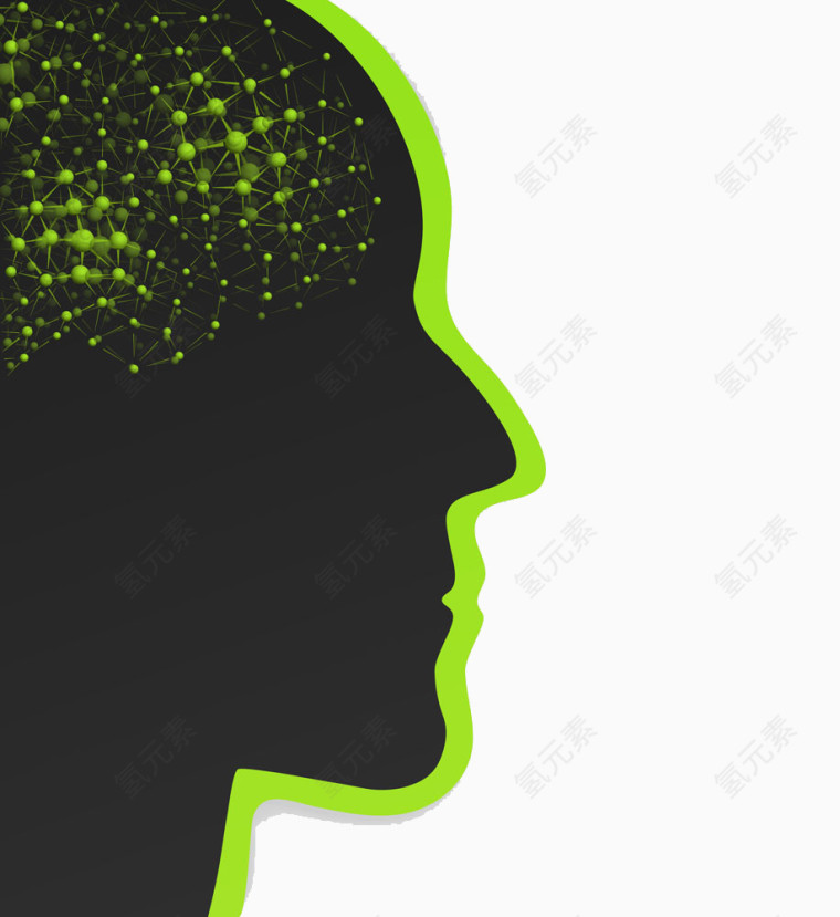 头部和分子结构大脑