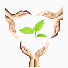 人手树叶环保素材