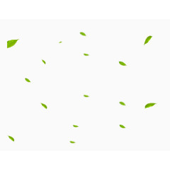 唯美精美漂浮树叶