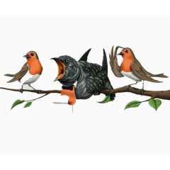 插画小鸟树枝上