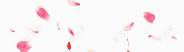 粉色花瓣