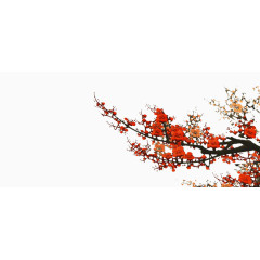 梅花素材