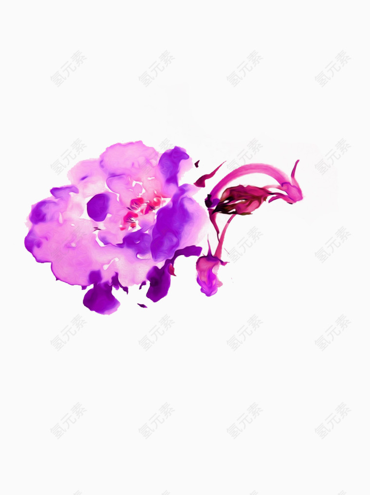 牡丹花
