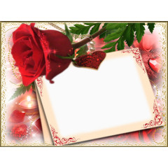 梦幻玫瑰花花纹信纸