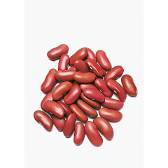 红豆实物