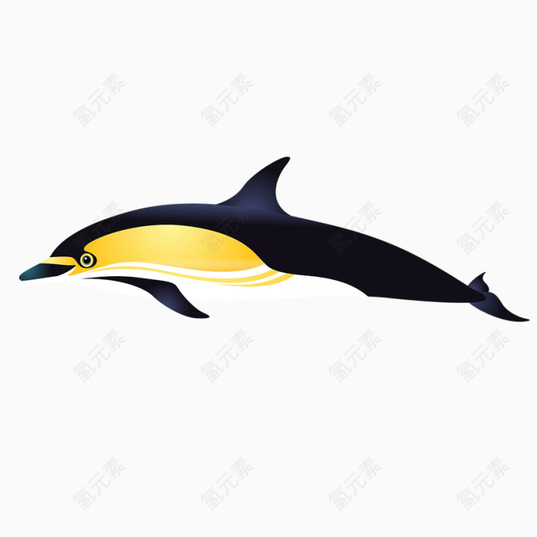 黑色海豚卡通画