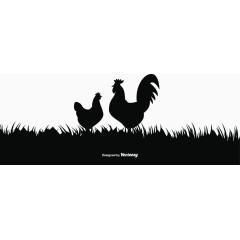 矢量公鸡剪影插图