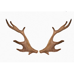 ??》ae1/4òμ￥?(R)2??11/2???2?