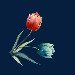 创意手绘水彩花朵