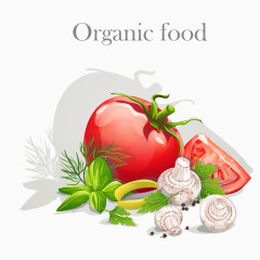 新鲜营养蔬菜矢量素材