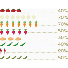 蔬菜数量占比图
