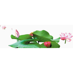 装饰     个人简历       素材