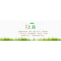 美食介绍背景图