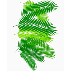 手绘绿色芭蕉形叶子