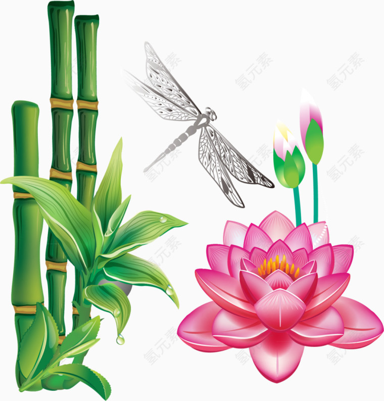 荷花竹子矢量