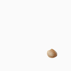 贝壳
